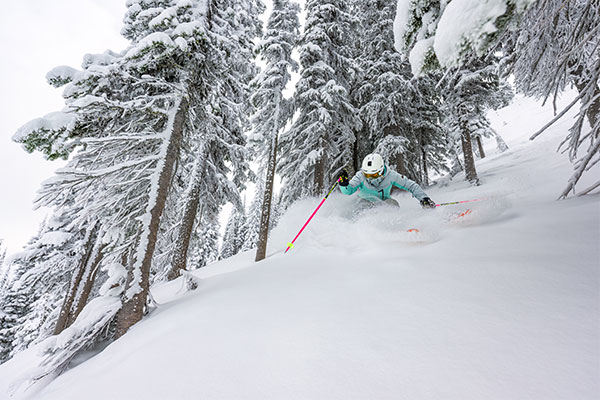 Powder Deep