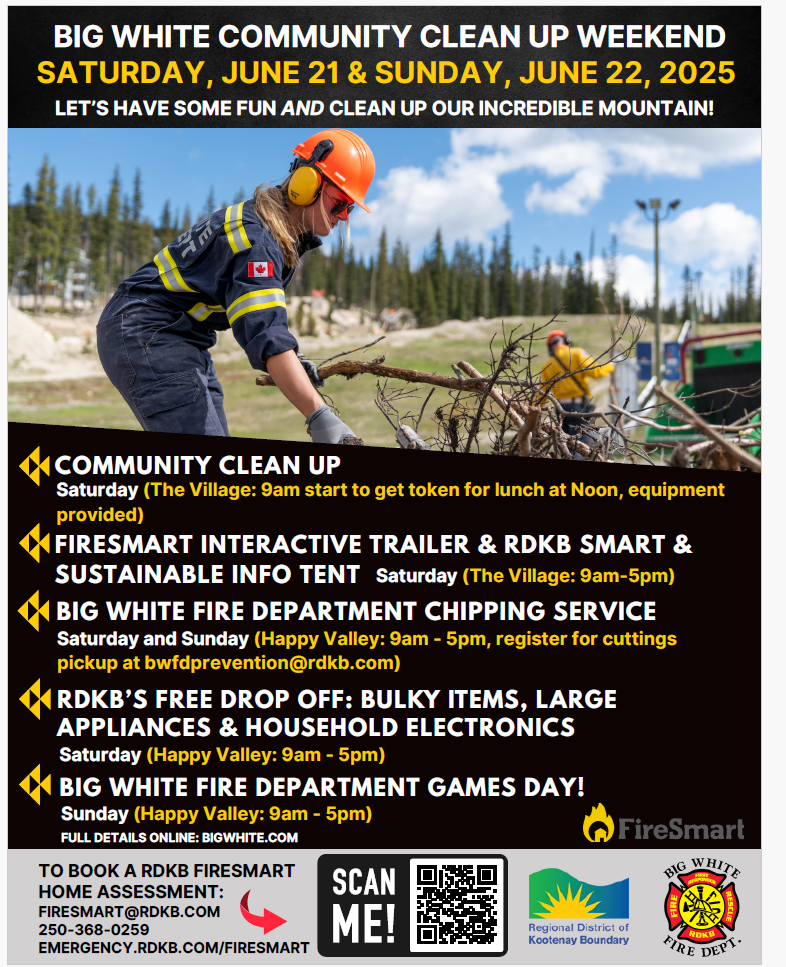 Community Cleanup poster
