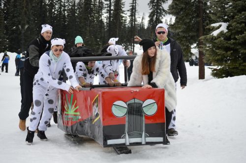 Big White News: The Great Northern Concrete Toboggan Race15