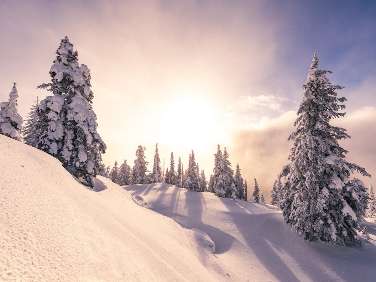 Ottawa Ski Holiday contest