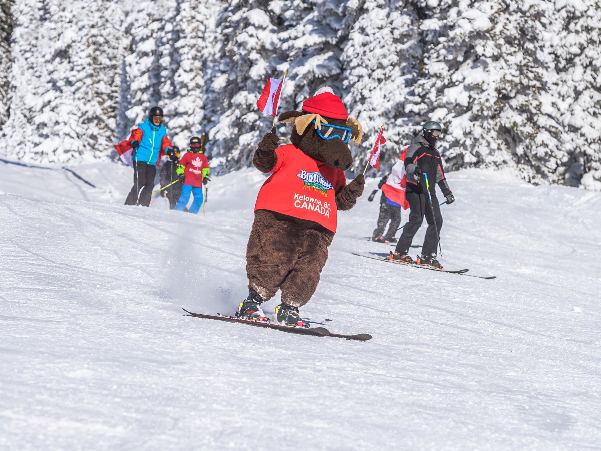Early Bird Season Passes
