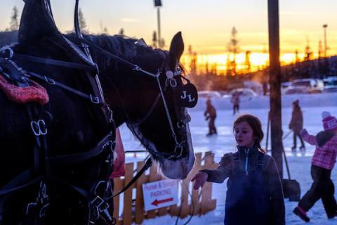 girl and horse