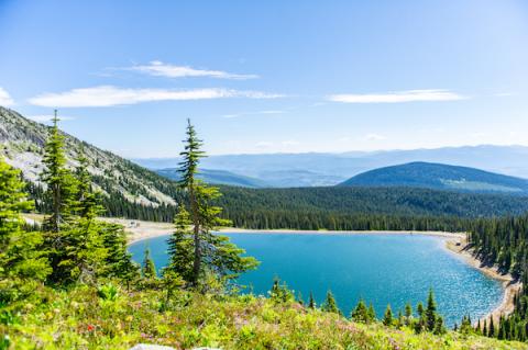 Rhonda Lake Summer