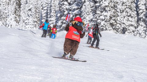 Early Bird Season Passes