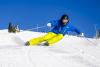 Bluebird Groomers