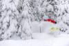 Ski Big White