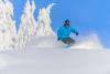 Powder board
